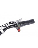 Электросамокат с сиденьем (черный) DES06C1 36V1000W 12AH - SM