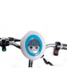 Электросамокат с сиденьем (сиденье - спинка) (черный) T06-1 36V350W 12AH - SM