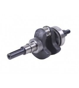 Коленвал в сборе - 192D