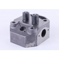 Головка цилиндра в сборе (ZUBR original) - 195N - Premium