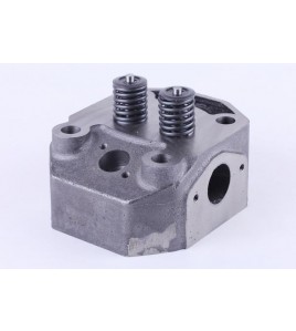 Головка цилиндра в сборе (ZUBR original) - 195N - Premium