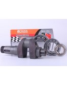 Коленвал в сборе + шестерня - ZUBR original - 195N - Premium