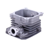 Головка блока голая - P65F (ZS)