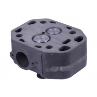 Головка цилиндра в сборе - ZS/ZH1100 YBX