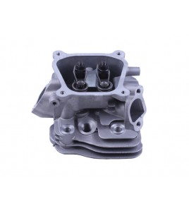 Головка блока в сборе - 168F Головка блока в сборе - 168F