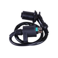 Катушка зажигания + надсвечник - 4T YBX