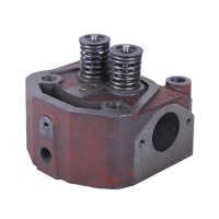 Головка цилиндра в сборе - 190N YBX