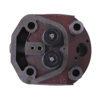 Головка цилиндра в сборе - 190N YBX