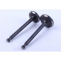 Клапаны, к-т: 2 шт. - 177F YBX