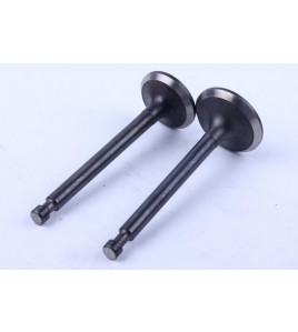 Клапаны, к-т: 2 шт. - 177F YBX