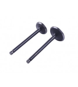 Клапаны, к-т: 2 шт. - 186F