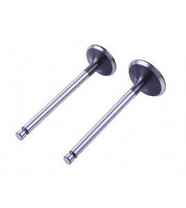 Клапаны, к-т: 2 шт. - 190N Клапаны, к-т: 2 шт. - 190N