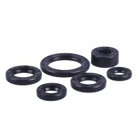 Сальники, к-т: 6 шт. - Дельта/Альфа YBX