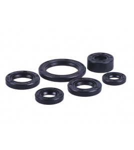 Сальники, к-т: 6 шт. - Дельта/Альфа YBX