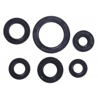 Сальники, к-т: 6 шт. - Дельта/Альфа YBX