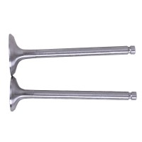 Клапаны, к-т: 2 шт. - 190N YBX