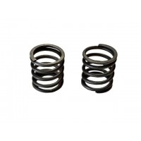 Пружины клапанов 156F