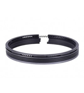 Кольца 95,00 мм STD, к-т на 1 поршень - 195N