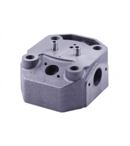 Головка цилиндра голая (ZUBR original) - 195N