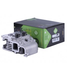 Головка блока в сборе (под 2 болта) - 178F - TTG Головка блока в сборе (под 2 болта) - 178F - TTG