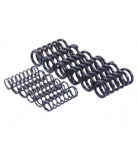 Пружины диска нажимного, к-т: 12 шт. - MFC - TTG