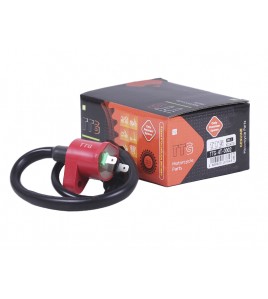 Катушка зажигания + надсвечник - 4T - TTG
