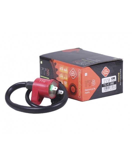 Катушка зажигания + надсвечник - 4T - TTG