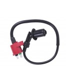 Катушка зажигания + надсвечник - 4T - TTG