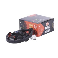 Якорь генератора (6+2) - 50CC4T - TTG