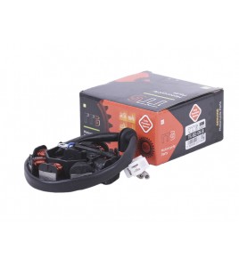 Якорь генератора (6+2) - 50CC4T - TTG