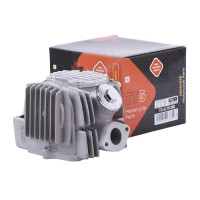 Головка цилиндра в сборе 52 мм - Актив/Дельта/Альфа - TTG