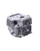 Головка цилиндра 47 мм в сборе 72CC - Дельта/Альфа - TTG Головка цилиндра 47 мм в сборе 72CC - Дельта/Альфа - TTG