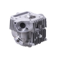 Головка цилиндра 47 мм в сборе 72CC - Дельта/Альфа - TTG