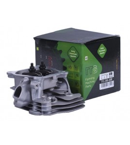 Головка блока в сборе - 168F - TTG