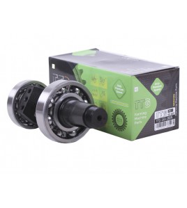 Коленвал в сборе (подшипники 6310/6210, шестерня) - 180N - TTG