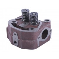 Головка цилиндра в сборе - 190N - TTG