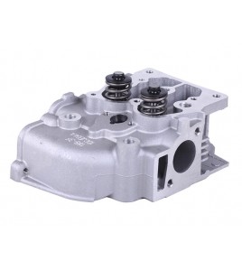 Головка блока в сборе - 177F - TTG