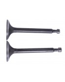 Клапаны, к-т: 2 шт. - 168F - TTG