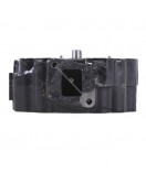 Головка блока (голая) SF-138-2