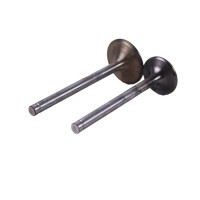 Клапана, к-т SF-138-2 Shifeng 240