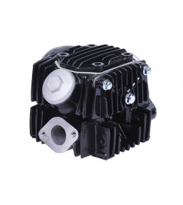 Головка цилиндра (3+1)