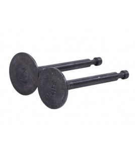 Клапаны, к-т: 2 шт. - 168F - GN 2-3,5 KW Клапаны, к-т: 2 шт. - 168F - GN 2-3,5 KW