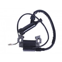 Катушка высокого напряжения + надсвечник - 168F - GN 2-3,5 KW