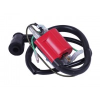 Катушка зажигания + надсвечник - Альфа - TTG