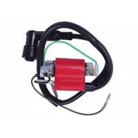 Катушка зажигания + надсвечник - Альфа - TTG