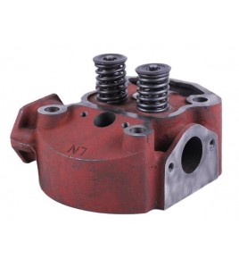 Головка цилиндра в сборе (на мототрактор) - 195N