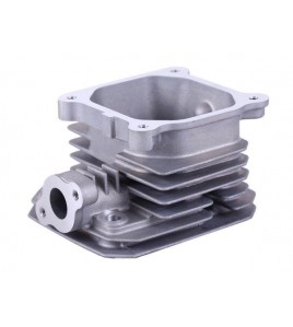 Головка блока в сборе - P65F (ZS)