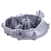 Крышка блока двигателя - P65F (ZS)