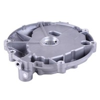 Крышка блока двигателя - P65F (ZS)