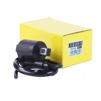 Катушка зажигания + надсвечник - СВ-125/150 YBX